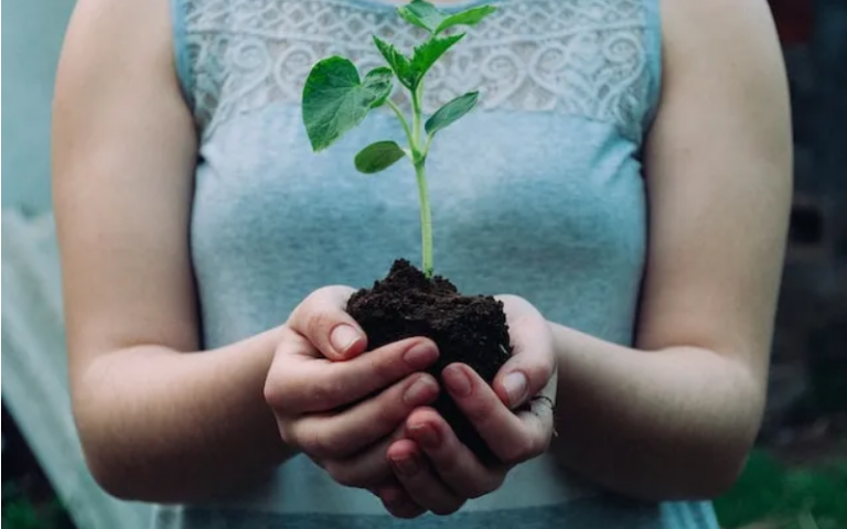 Compensar emisiones para regenerar la naturaleza