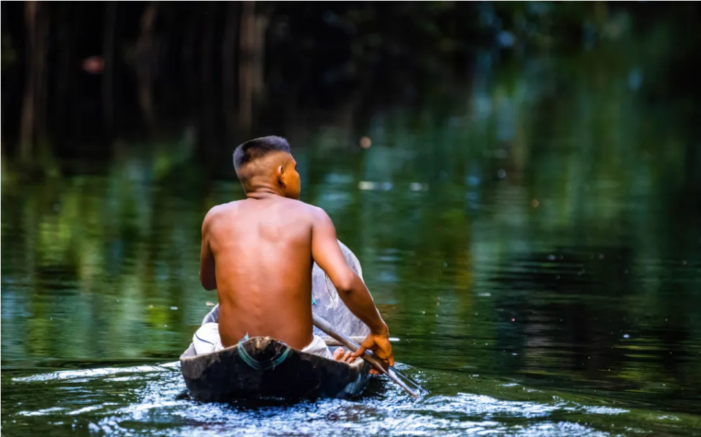 Screenshot 2024-03-03 at 10-13-08 Territorios y saberes indígenas para el “Buen Vivir” de toda Iberoamérica